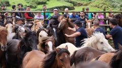 Rapa de Campo do Oso