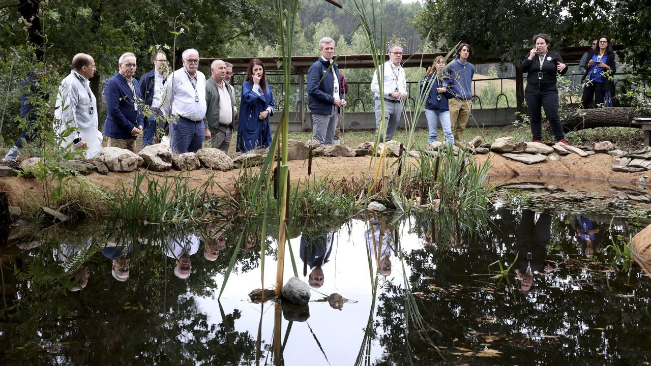 Las granjas de Raúl y María: paneles solares, cuadras con ventiladores y charcas de biodiversidad