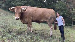 Celia en una de sus fincas en As Nogais junto a Berto, uno de los bueyes que cr�a en su explotaci�n