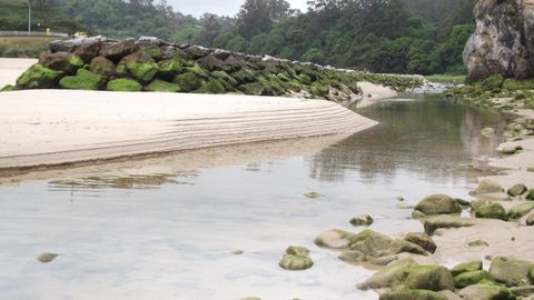 Playa de La Franca, donde la calidad de las aguas no es apta para el ba�o