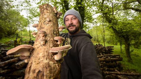 Xes�s Gra�a, con un tronco donde cultiva setas
