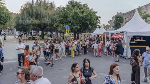 Asistentes a la primera jornada de la XVIII Feira do Vio de Monterrei.