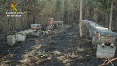 La Guardia Civil investiga los incendios forestales en Asturias