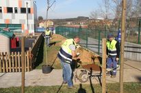Los operarios de la brigada municipal de Lal�n empezaron los trabajos de plantaci�n en el colegio.