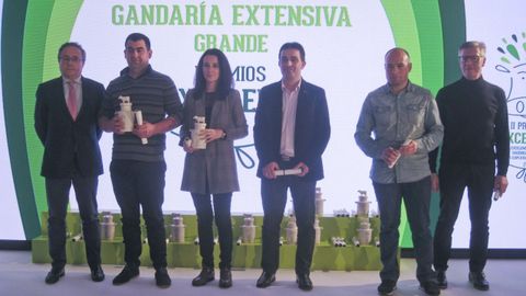 Pemiados en la edici�n del 2018, cuyos galardones se entregaron en Vilalba