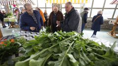 Expogrelo se celebra en Gontn (Abadn), con mercado y con degustaciones, pera divulgar un producto muy tpico de la agricultura local