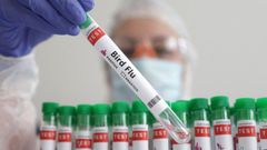 Vacuna contra la gripe aviar
