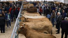 Imagen de archivo de la feria de Pedrafita