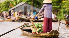 Uno de los proyectos se localiza en el delta del r�o Mekong, en Vietnam