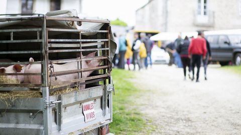 La feria de Parga todava conserva una importante actividad ganadera.