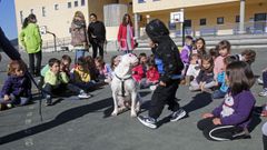 El CEIP San Benito de L�rez, en una actividad del pasado curso, es uno de los tres colegios de Pontevedra que podr�n destinar a usos educativos la antigua vivienda del conserje