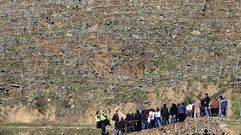 Participantes en el congreso del Cervim que acogi� en el 2008 la Ribeira Sacra