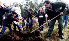 Cada �rbol llevar� el nombre de un ni�o y una parroquia diferente