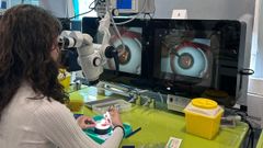 Imagen de uno de los talleres con ojos bi�nicos que se desarrollan en el Centro Tecnol�xico de Formaci�n del Chuac para oftalm�logos que se adiestran en t�cnicas de cirug�a ocular implanto-refractiva
