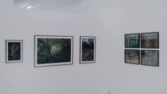 Exposici�n de fotograf�a de�Joan Alvarado, Eva D�ez, Diego Opazo, Jos� Quintanilla y Ariadna Silva Fern�ndez