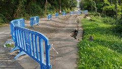  Senda Verde entre Fuso y La Manjoya, en Oviedo
