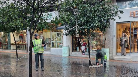 Preparativos de la decoracin navidea en Pontevedra