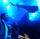 Beatriz Pereira gui� ayer a Lores y al resto de la expedici�n en su visita al acuario. 