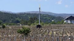 �Habr�a salvado la cosecha este ventilador gigante?