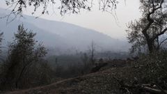 Vista de una colina devastada por el fuego en la localidad de Calci