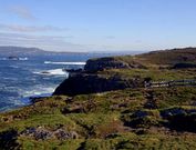 El patrimonio natural de la costa oleirense de Dexo se divide en varios tipos de hbitats.