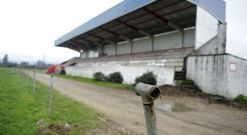 Hasta la barandilla del campo se ha desmontado para ser reutilizada por la brigada de obras. 