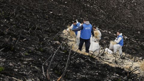 Voluntarios protegen los montes afectados por los incendios forestales en Vilamart�n de Valdeorras