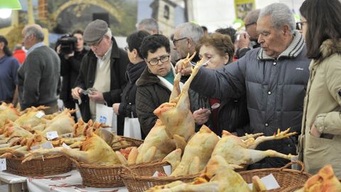 La feria del Galo de Cruces es una de las m�s populares de Galicia en cuando a aves se refiere