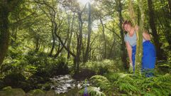 Los inscritos en la andaina disfrutar�n el s�bado de un entorno verde 