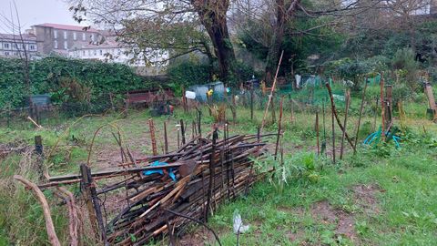Huertas urbanas en Belvís