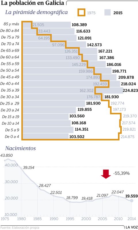 La pirmide demogrfico