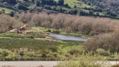 Obras en la laguna de San Andr�s de los Tacones, en Gij�n