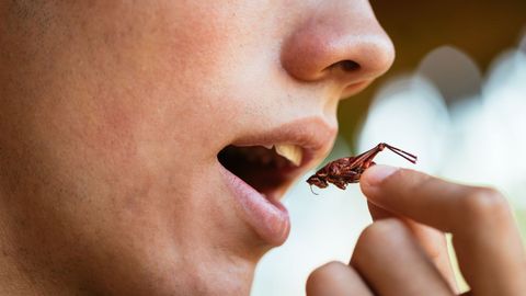 Imagen de un joven comiendo saltamontes
