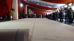 La tradicional �alfombra roja� de los Oscar ser� este a�o color champ�n