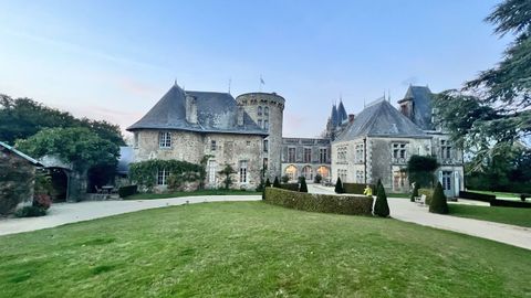 Espectculo en el Puy du Fou