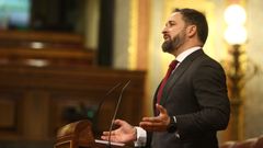 Santiago Abascal, en el pleno de la moci�n de censura planteada por Vox