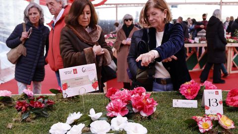 La camelia de oro fue para Abelardo Barcala Torrado