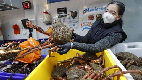 Primeras centollas en el mercado de Ferrol