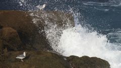 Imagen de unas olas rompi�ndose en la costa gallega. 