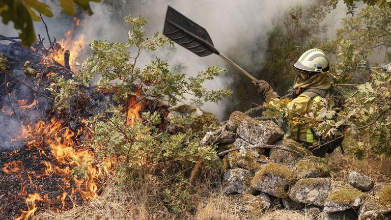 Un bombero forestal sofocando las llamas con un batefuegos en O�mbra, el 14 de agosto.