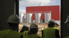 La empresa Iffe Biotech reactivar� el proyecto para producir omega 3 en As Somozas
