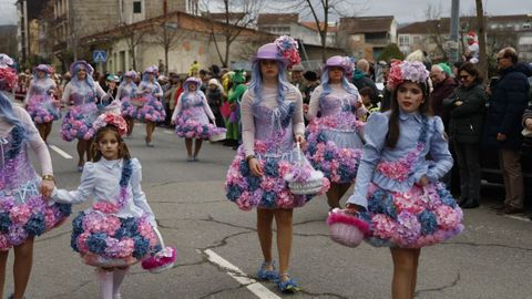 Desfile del domingo de entroido en Ver�n.