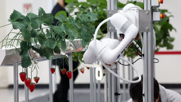 La investigaci&oacute;n del Tribunal de&nbsp;Cuentas concluy&oacute; que muchos proyectos no ten&iacute;an aplicaciones pr&aacute;cticas