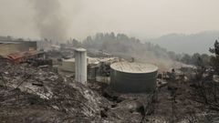 Incendio forestal que afect a la empresa de componentes para automocin Autoneum.

