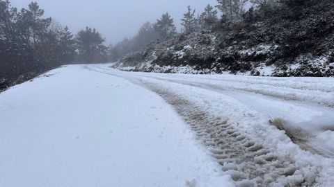 Monte de O Pedroso, a m�s de mil metros de altitud, en A Ca�iza