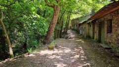 As Pinguelas, en A R�a de Valdeorras.