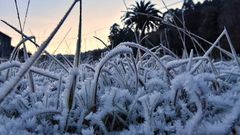 Heladas en la comarca coru�esa