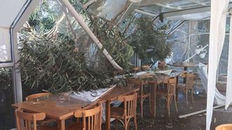 Las ramas cayeron sobre el lateral izquierdo de la terraza cubierta, con la estructura de metal y metacrilato destrozado