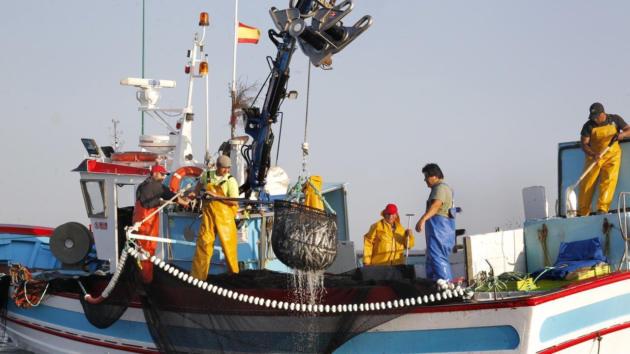Las sardinas del «xeito» vuelven con el año nuevo
