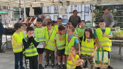 Alumnos del CEIP de Palas de Rei en una de las actividades.